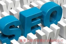 【SEO】网站出现不同的重复类型内容我们该如何应对？