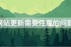 【SEO】网站在更新文章时应需要注意的问题