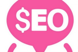 【SEO】网站优化贯穿独立站推广的新出路