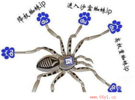 百度蜘蛛.png