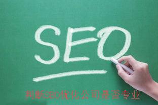 判断SEO优化公司是否专业.jpg